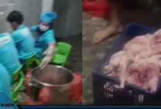 Heboh! Ayam MBG Dicuci di Kamar Mandi Masjid, 9 Dapur Gresik Disanksi—DPR Tegaskan Tak Boleh Asal-asalan