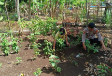 Polsek Muara Pinang Cek Perkarangan Bergizi