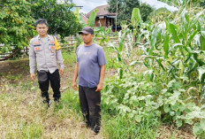 Bhabinkamtibmas Polres Empat Lawang Dukung Ketahanan Pangan