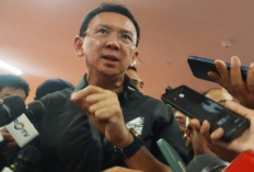 Ahok: Banyak Kader PDIP Tidak Memahami Megawati Soal Anies di Pilkada Jakarta