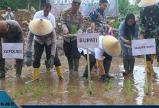 Bupati Joncik Muhammad Pimpin Tanam Padi Serentak di Muara Pinang, Wujud Nyata Dukung Ketahanan Pangan