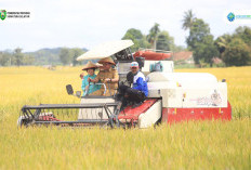 Sumsel Incar Predikat Lumbung Pangan Nasional