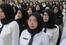 Skema PPPK Paruh Waktu 2025: Kesempatan Emas bagi yang Gagal Seleksi ASN!