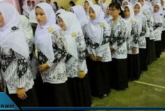 Kabar Baik untuk Guru Non ASN, Mendikdasmen Tetapkan Tunjangan Jadi Program Prioritas 2026