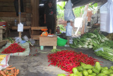 Pasca Lebaran Harga Bahan Pokok Kembali Normal