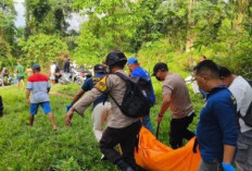 Wanita Tewas di Hutan Maluku Tengah, Sempat Video Call dengan Pria Tak Dikenal