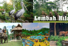 Kebun Binatang Lembah Hijau Lampung,Destinasi Wisata Terbaru yang Wajib Dikunjungi Bersama Keluarga.