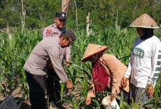Dukung Ketahanan Pangan Lewat Program “Perkarangan Bergizi”