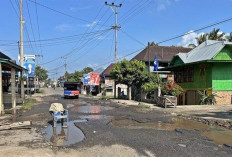 Kondisi Jalan Provinsi Muara Pinang Rusak Berlubang