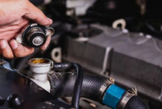 Jangan Sepelekan! Ini Bahaya Fatal Akibat Air Radiator Habis