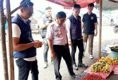 Cek Langsung Pergerakan Harga di Pasar