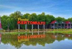Pesona Mangrove dan Edukasi Alam di Pantai Kertomulyo, Pati: Wisata Murah Meriah yang Instagramable