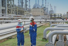 Pertamina Resmi Luncurkan Diesel X, BBM Rendah Sulfur Berstandar EURO V