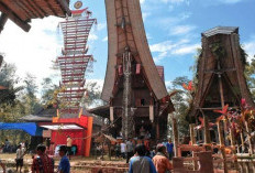 3 Rekomendasi Wisata Budaya di Manokwari: Menyusuri Keindahan dan Kekayaan Budaya Papua