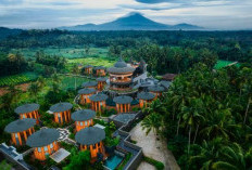 5 Rekomendasi Hotel di Magelang dengan Udara Segar dan Sejuk