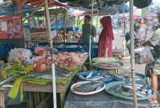 Harga Daging dan Telur Stabil di Pasar Pulau Emas 