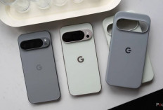 Bocoran Google Pixel Feature Drop November 2025: Tema Wicked, Studio GIF, dan Notifikasi VIP