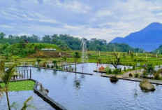 Dua Destinasi Wisata Alam Sejuk dan Alami di Jawa Timur, Cocok untuk Healing Murah Meriah!