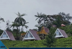 Geger! Wisata Gunung Dempo Ditutup Mendadak, Ekonomi Warga Pagar Alam Terancam Lumpuh