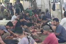 Kontroversi Hewan Kurban di Sumatera Selatan: Belum Cukup Umur Tetap Disembelih