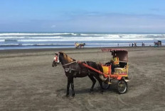 Pantai Widarapayung: Destinasi Wisata Alam Populer di Cilacap yang Memukau Pengunjung