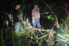 Korban Penganiayaan Anak Bawah Umur Alami Luka Serius