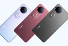 Deretan HP Vivo Layar Lengkung Paling Dicari, Nomor 2 Bikin Ngiler!