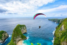 Wisata Eksotis Bali: Pantai Kelingking, Surga Tersembunyi di Nusa Penida Dekat Sanur