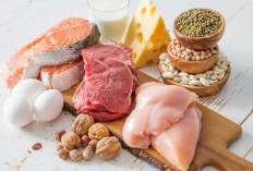 17 Pilihan Sumber Protein Tinggi dan Manfaatnya