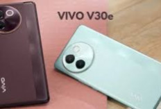 Kamera 50MP Tidak Sama! Ini 5 HP Rp2 Jutaan yang Hasil Fotonya Paling Oke