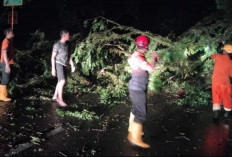 Hujan Deras dan Angin Kencang Landa Kota Sekayu