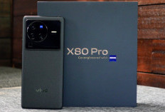 Update Terbaru Harga HP Vivo November 2025: Pilihan dari Rp1 Juta hingga Rp15 Juta