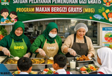 Pegawai SPPG Bakal Diangkat Jadi PPPK, P2G Soroti Anggaran MBG: Pendidikan 20 Persen Tapi Guru Terseok Seleksi
