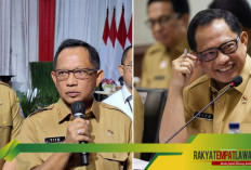 Mendagri Tito Karnavian: 34 Pj Kepala Daerah Mundur, Simak Alasannya Disini!