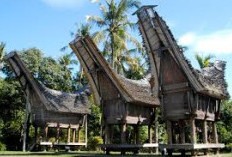 Melihat Kete Kesu, Desa Adat Peninggalan Budaya Toraja