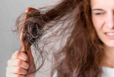Gak Perlu Pusing, Ini Solusi Rambut Rontok Untuk Para Wanita