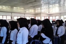 Pendaftaran P3K Bengkulu Selatan Tahap 2 Diperpanjang Hingga 15 Januari 2025  