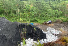 Wajib Diketahui, Ternyata Bengkulu Memiliki Tambang Sebesar Ini