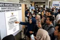 CPNS 2026 Makin Dekat? Surat Resmi MenPAN-RB Ungkap Kebutuhan ASN Tahun Ini