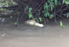 Bikin Bulu Kuduk Berdiri, Ini 5 Misteri Daerah Seluma Provinsi Bengkulu