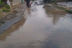 Pj Bupati Imbau Warga Tetap Waspadai Banjir Susulan