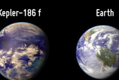 NASA Temukan Planet Baru Menyerupai Bumi: Kepler-186f