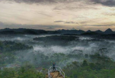 5 Tempat Wisata Alam Hits di Purworejo yang Cocok untuk Healing dan Liburan Keluarga