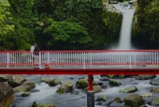 Curug Bayan, Keindahan Alami di Banyumas yang Cocok untuk Liburan dan Healing