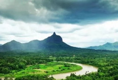 6 Fakta Menarik Bukit Jempol, Destinasi Pendakian Tersembunyi di Sumatra