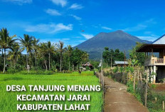 Ini Wisata Tanjung Pinang yang Wajib Dikunjungi! Nomor 3 Bikin Takjub