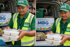 Gaji Guru Kalah dari Sopir MBG, Pengamat Desak Pemerintah Bentuk Badan Kesejahteraan Guru