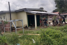 Segera Pindah ke Rimba Ukur
