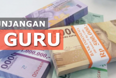 6 Tunjangan Guru Cair Akhir Tahun 2024, Termasuk TPG Triwulan 4 dan THR 100%