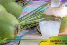 Manfaat dan Efek Samping Minum Air Kelapa Setiap Hari